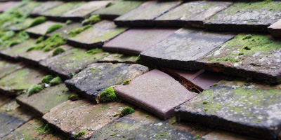 Page Moss roof repair costs